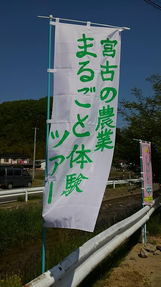 「宮古の農業まるごと体験ツアー」と書かれたのぼり旗の写真