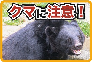 クマに注意！