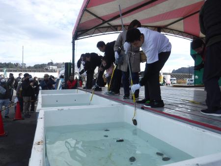 鮭・あわびまつり写真