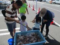 容器に入っているホタテ貝を親子で吊り上げている写真