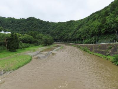 木々が生茂っている道路のすぐ下に茶色く濁った川が流れており水かさも河原のところまで増水している閉伊川の様子の写真
