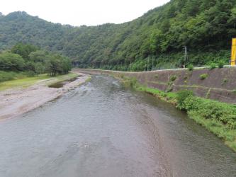 緑色に茂る木々と、木々の近くを流れる川の写真