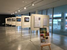 右側一面ガラス張りで外の通りが見える場所の室内に展示パネルが縦に7枚並んでいてそれぞれに作品が展示されてる様子を前方左から撮影した写真