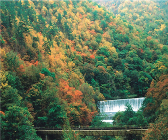 鮮やかに紅葉した山並みの間から見えるダムからすだれ模様に流れ落ちる水の様子が望める写真