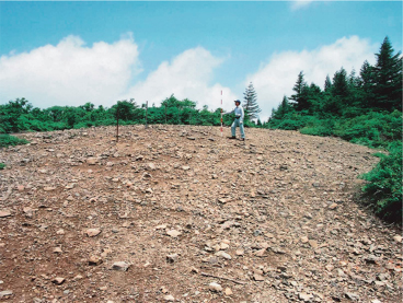 茶色い地表⾯に⽯礫が広がる北高地の風衝荒廃地で赤白の棒を手に調査している男性が1人立っている姿を離れた前方から撮影した写真