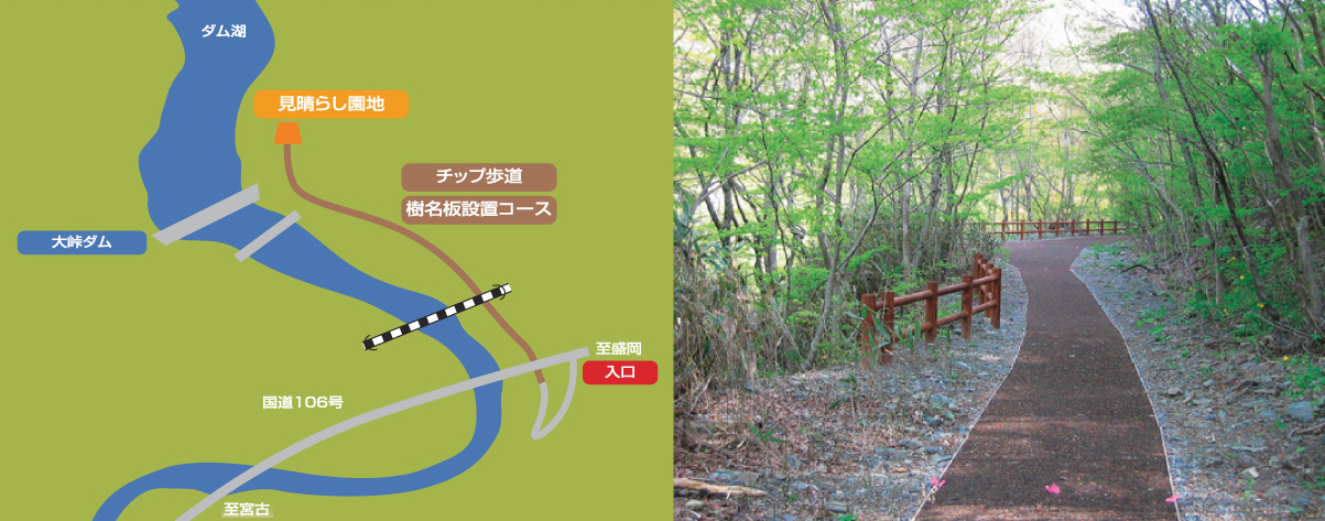 左：景観の森の遊歩道コースの地図 右：木々に囲まれた道が奥へと続く遊歩道の写真