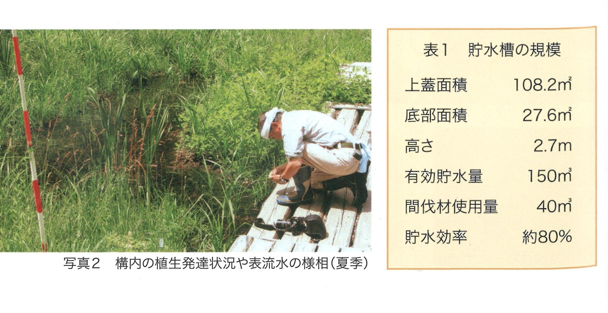 地下貯水槽上部の植生発生状況や表流水の様相