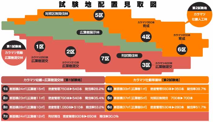 1区から7区まで区分けされた試験地配置見取り図の画像と、1区から7区までの間伐前後の木の本数と間伐率の表