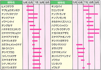 早池峰山花カレンダーの表