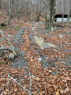 洗堀されている路面(第一園地内)