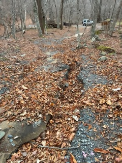 洗堀されている路面(第一園地内)