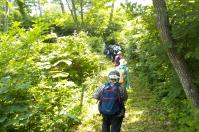 周りを木々や葉の茂みに覆われた山道を1列になり登っている参加者たちの写真