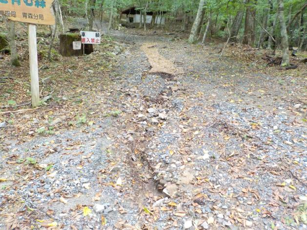 周りが木々に囲まれた第一園地内で建物に向かう傾斜のある砂利道の一部に溝のような亀裂が入っている写真