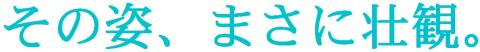 その姿、まさに壮観。