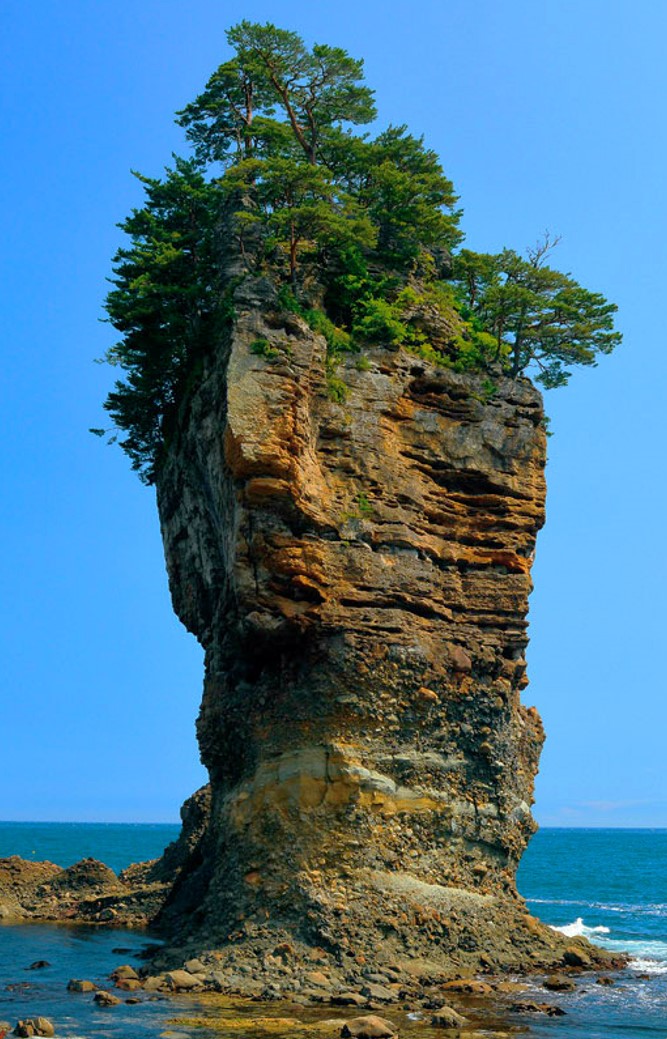 岩の上に木が生えており、羅賀層と海しょく洞が重なり合った男岩の写真