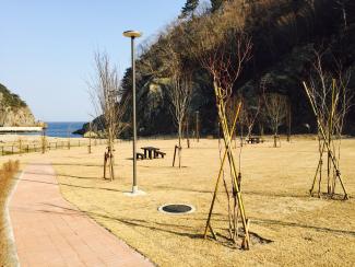 遠くに海が見えて、街燈が立ち、脇にはレンガの通路があるサイトの写真