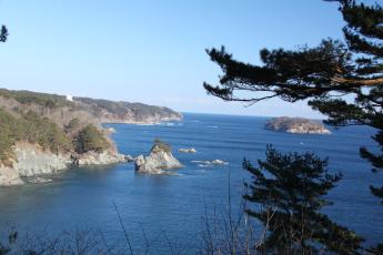 手前に木があり、青い海の中に小さな島のある景色が剛台展望台から見える写真