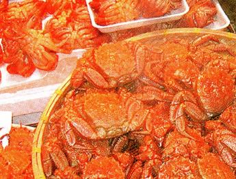 沢山の毛ガニが容器やトレーにぎっしり並べられた写真