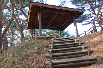 木の階段を登った先にある剛台展望台の写真
