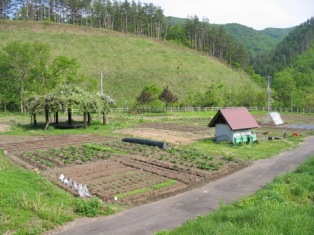 小高い丘の麓に、区画毎に緑色の野菜が植えられており、区画の一部には赤い屋根の小屋が設置された市民農園の写真