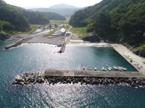 海に突き出た堤防と、堤防につけられた複数の小さな船、そして海岸の奥に広がる木々を地上に近い上空から見た写真