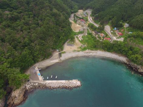 内側に丸くカーブした海岸にある川代地区の港を上空から写した写真