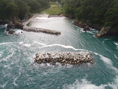 たくさんのコンクリートのブロックが海から顔を出している立浜地区の港を上空から写した写真