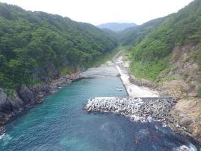 海が陸地に入り込んだ海岸に作られた港と海岸に茂る木々を地上に近い上空から見た写真
