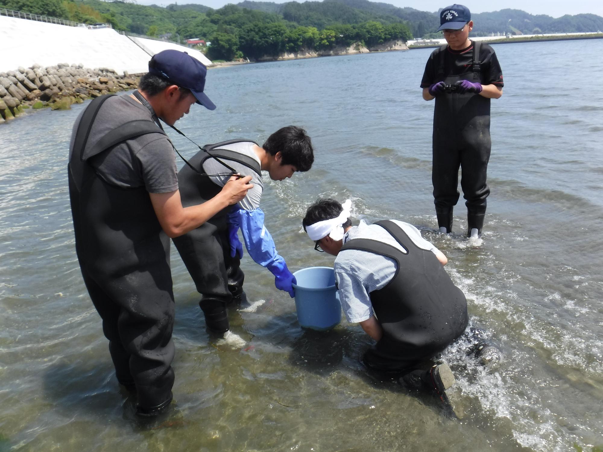 宮古湾の浅瀬で、前かがみになって青いバケツを持つ人と膝をついてそのバケツの中を見る人、そしてその二人の様子を見る人々の写真