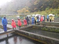 傘を差し雨カッパを着た人達が水槽の見学をしている様子の写真