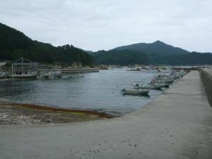 石浜地区の港の船着き場に、いくつも横並びに停められた無人の小型の船の写真