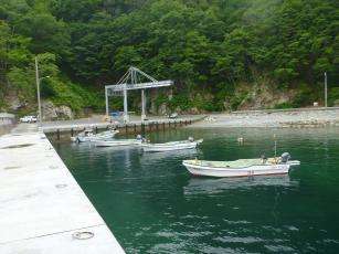 川代地区の港の船着き場に停められた複数の無人の小型の船の写真