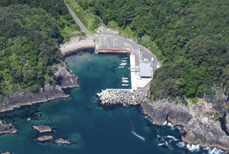 木々に囲まれた海沿いにある仲組地区の港を上空から写した写真