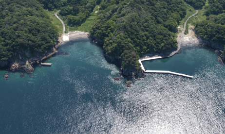 たくさんの木々に囲まれた海沿いにある浦の沢・追切地区の港を上空から写した写真