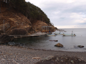 小石の見える磯浜の脇にある船着き場の前に、複数の無人の船が停められている写真