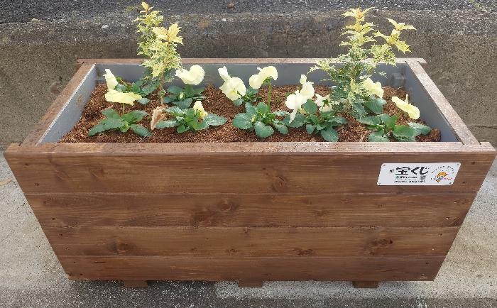 駅前広場のプランター