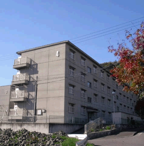 手前に紅葉した木が立っており、4階建て集合住宅の西ヶ丘団地4棟を撮影した写真