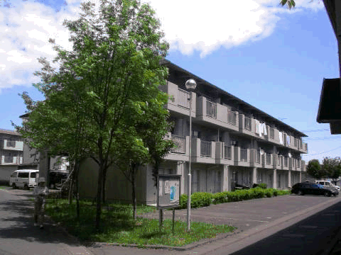 手前の一角に1本の木が立ち、案内看板や街灯が設置された3階建ての中里団地住宅の外観写真