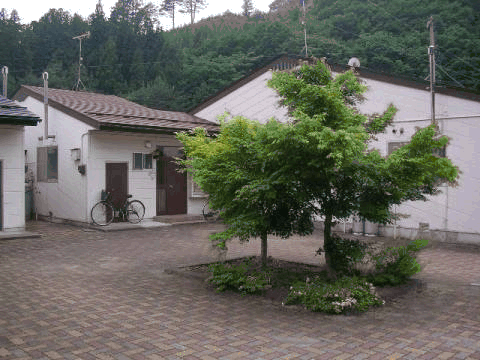 手前の一角に大きな木が立ち、左側に白い外壁の長内団地住宅の外観写真