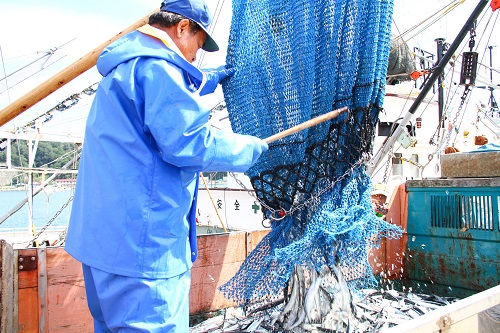青い作業服を着た男性が銛のようなものを手に取り網から魚を取り出している写真
