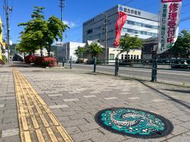 点字ブロックが設置された宮古第一中学校前交差点歩道に二匹のサケが円を描くように書かれているマンホールが設置されている写真