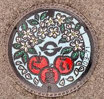 蟇目農集マンホールふた(着色)