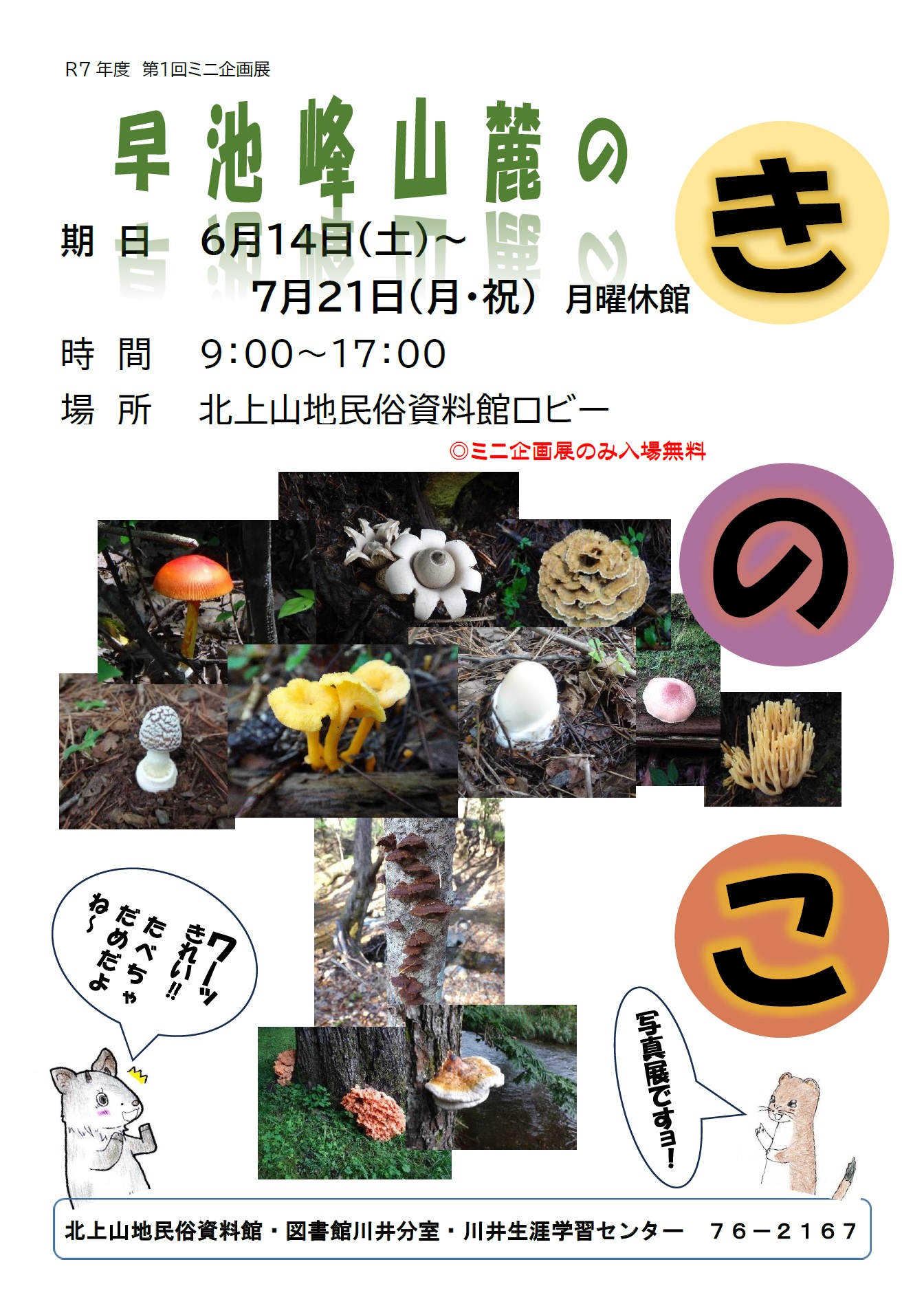 （イメージ）令和7年度第1回ミニ企画展「早池峰山麓のきのこ」を開催します