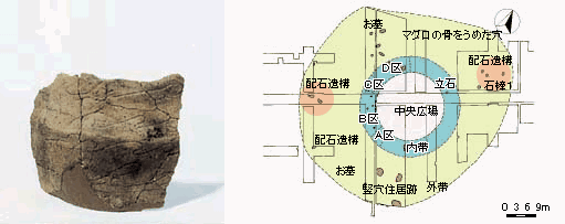 （左）全体にひび割れており一部分が焦げのように黒くなっているところがある崎山貝塚の時代第5段階の土器の写真（右）崎山貝塚の時代第5段階のムラの中心部と周辺地図