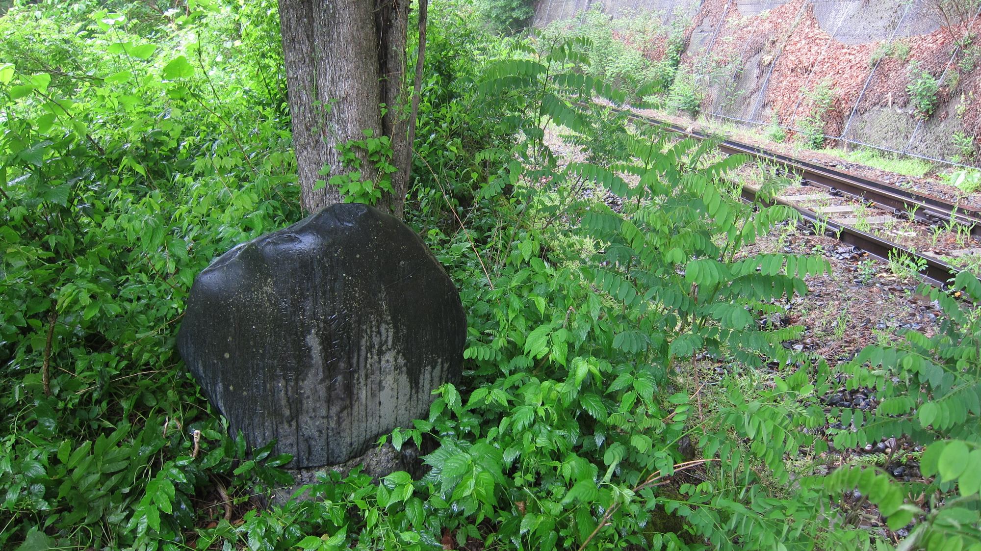アイオン台風復旧記念碑