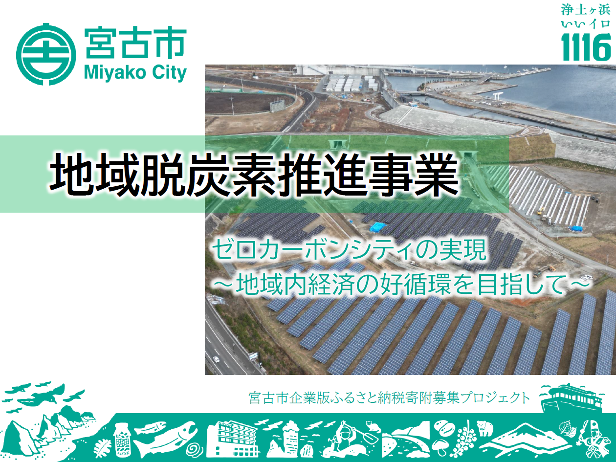 地域脱炭素推進事業