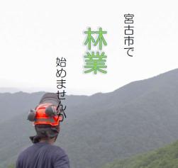 林業就業ガイドブック表紙