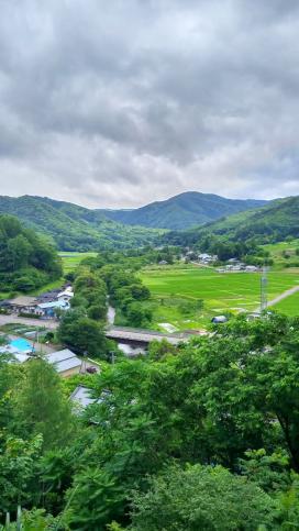 曇り空の中、青々とした緑が生い茂っている山々と畑、その手前に少しだけ映る複数の建物の写真