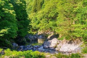 日差しが差し込む中、緑豊かな山が両側にある閉伊川渓流の写真