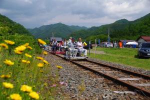 周囲を緑に囲まれた中廃線した鉄道のレールの上を、複数人が乗れる専用の自転車のようなもので3組ほどが走行している写真